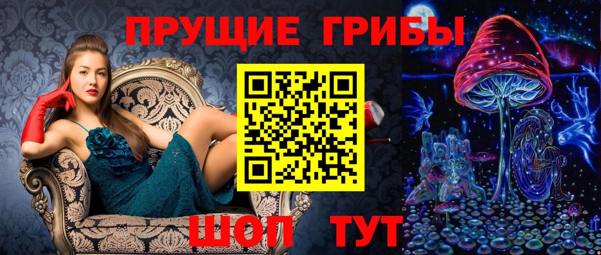 Сарапул  Галлюциногенные грибы Cubensis  Вход с VPN 