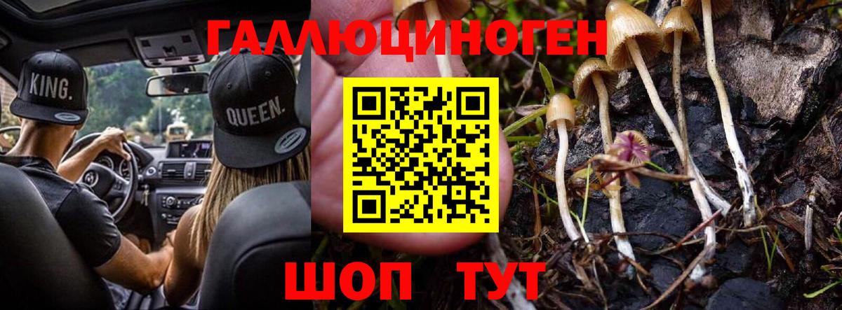 Галлюциногенные грибы мухоморы Сарапул